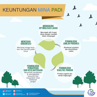 Keuntungan Mina Padi - 20180323